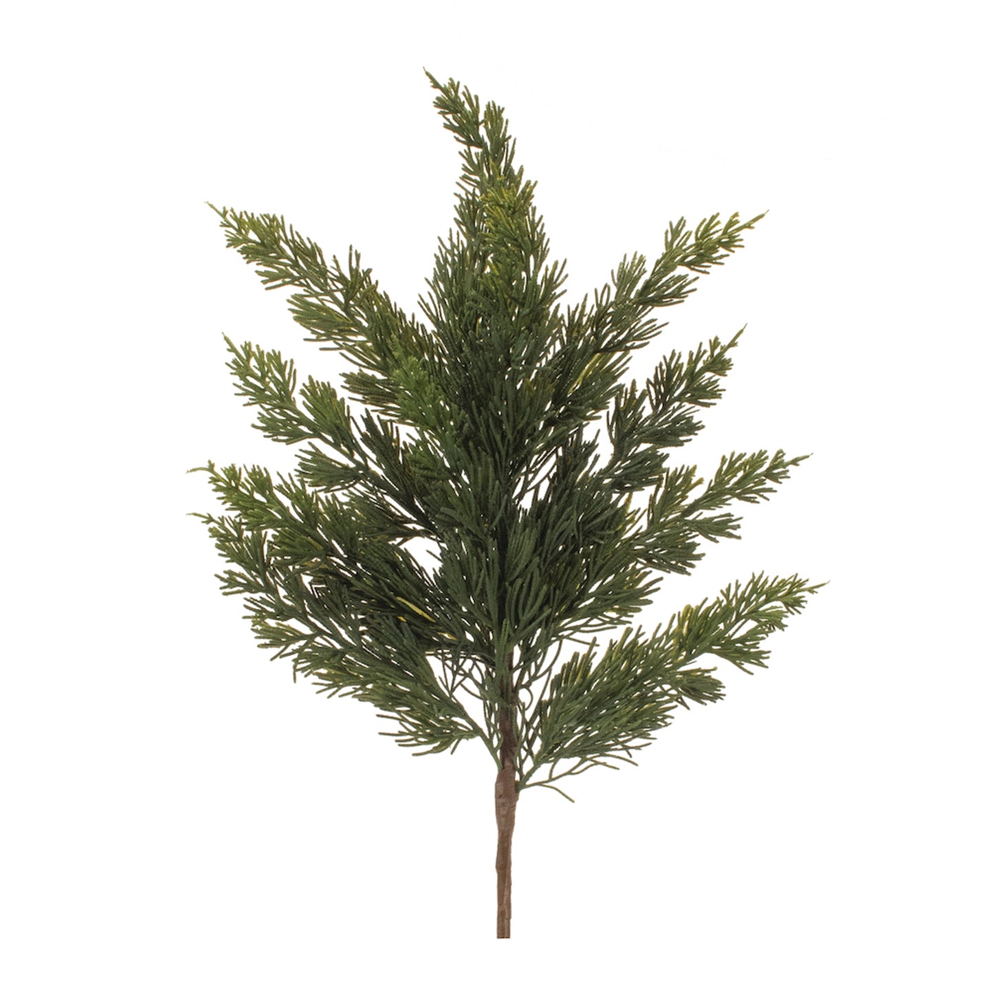 PINE SPRAY