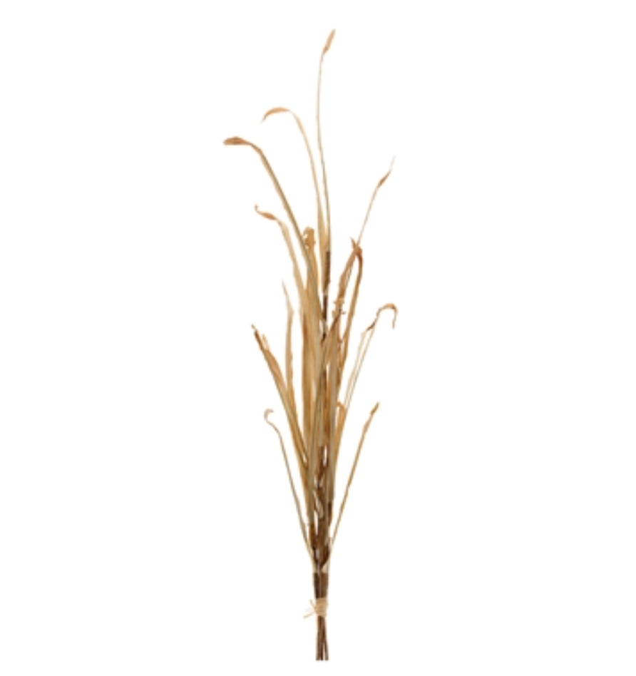 GRASS STEM