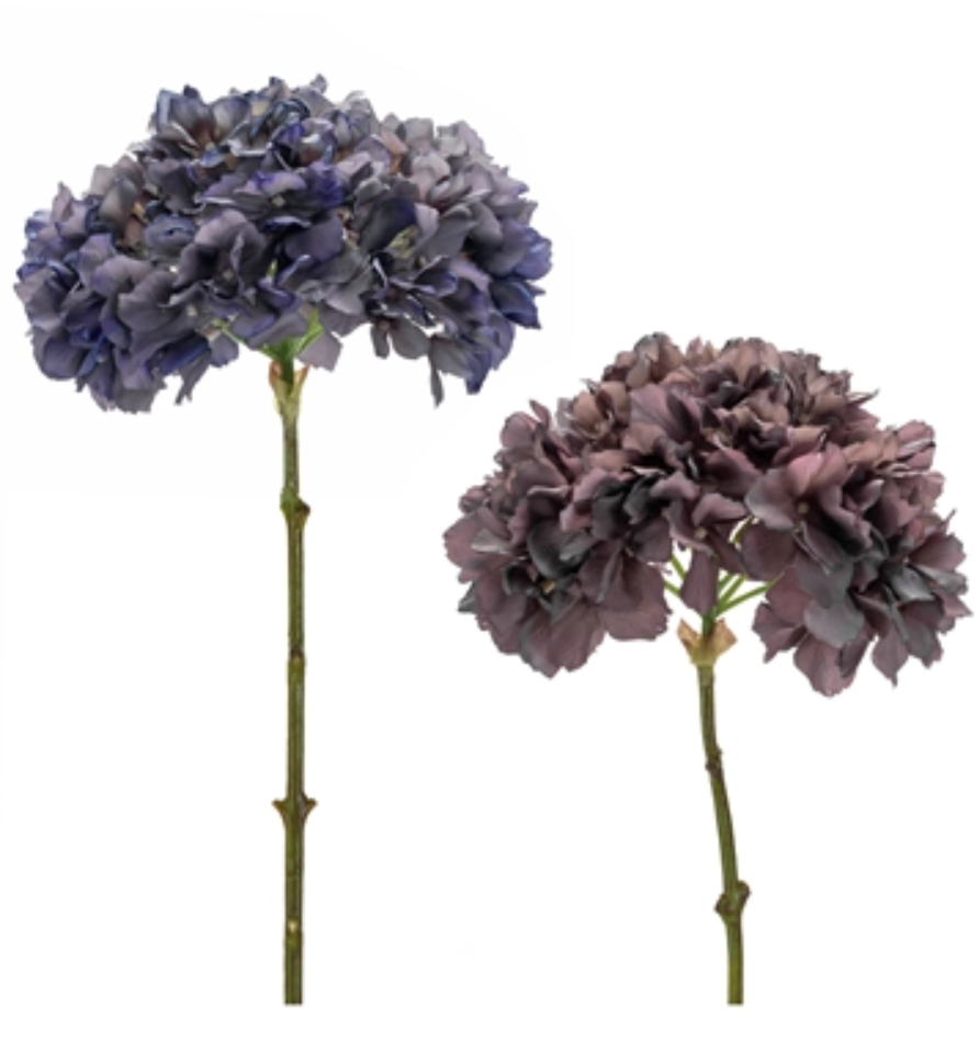 HYDRANGEA PICK