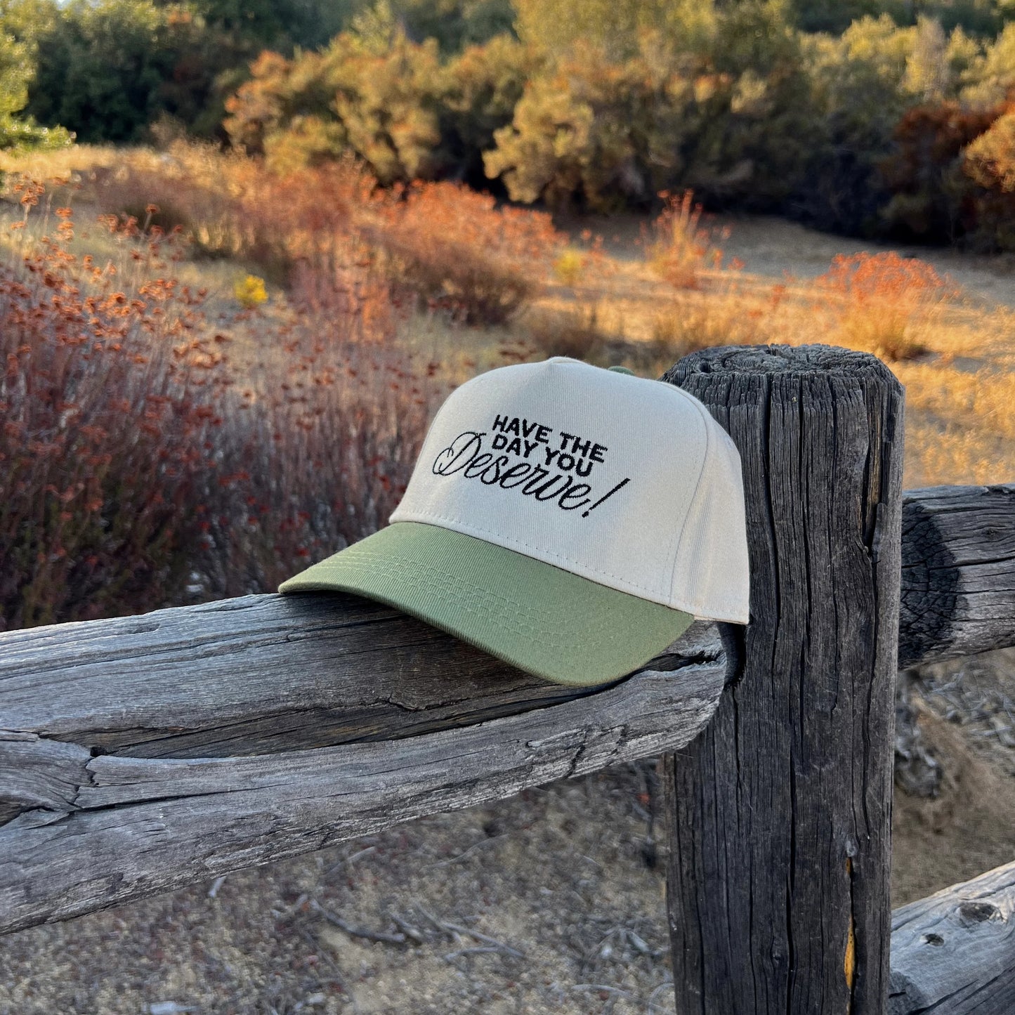 Deserve Trucker Hat