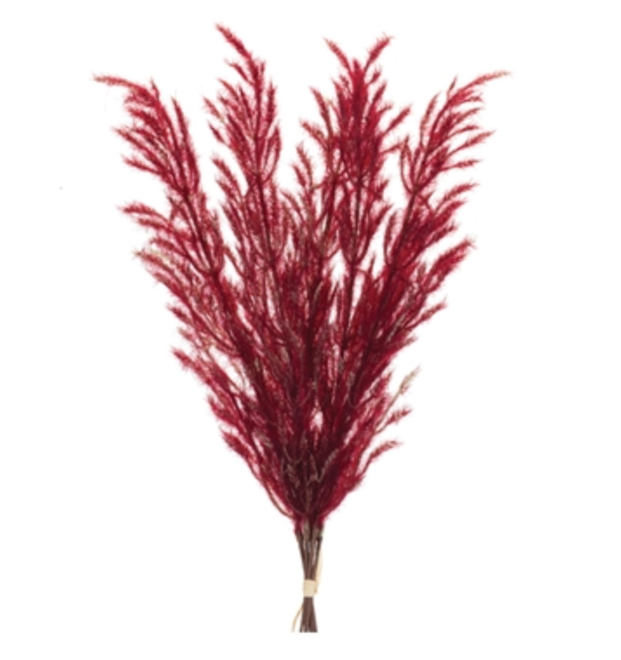 PLUME BUNDLE