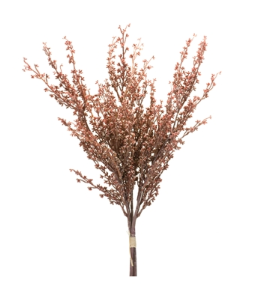 MINI SEED POD BUNDLE