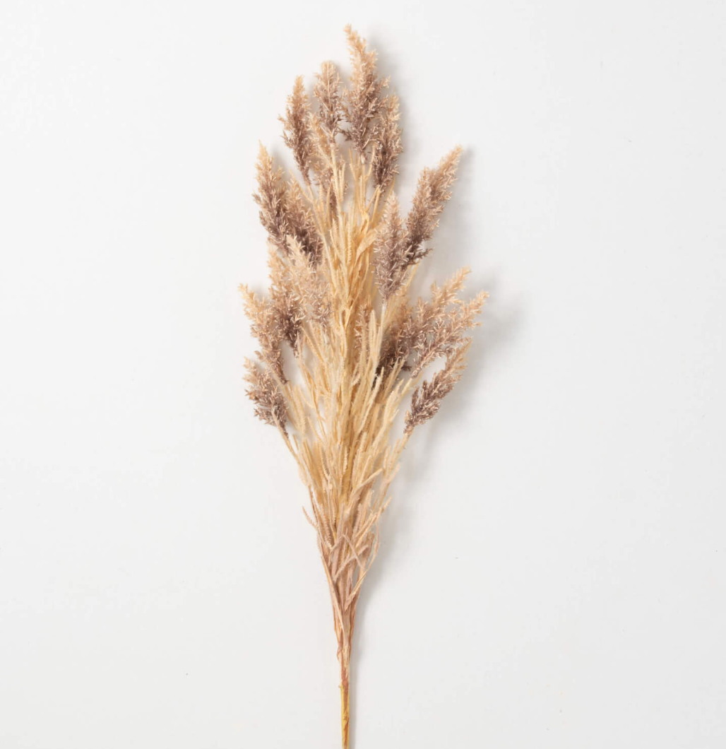 NEUTRAL GRASSY SORGHUM SPRAY