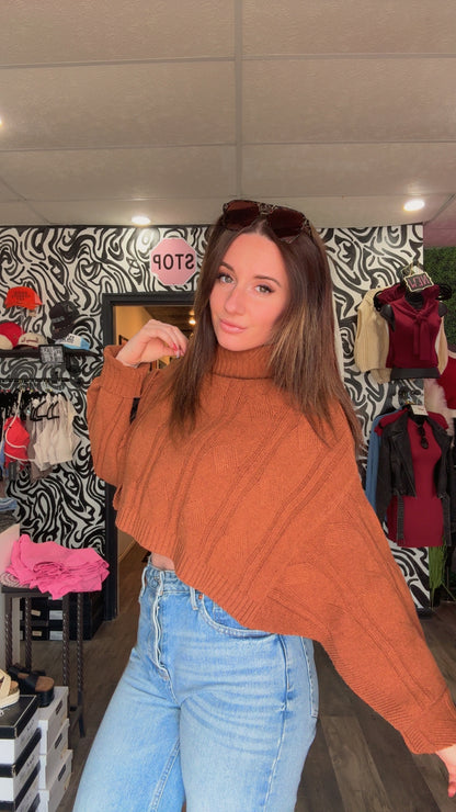 Nevaeh Turtleneck Poncho Sweater