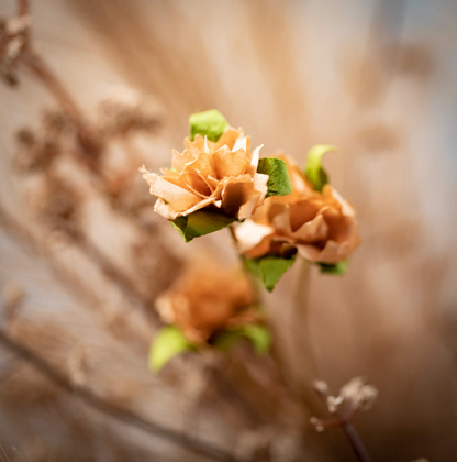 PAMPAS GRASS SMALL WREATH