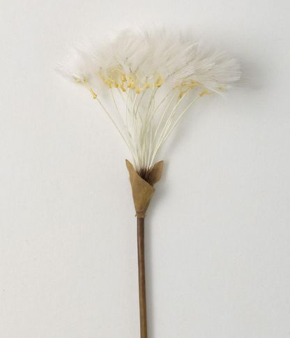 WISPY WHITE PUFF DANDELION