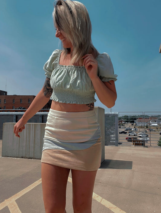 Chloe Color Block Faux Suede Skirt