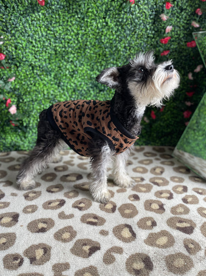 Pup 2