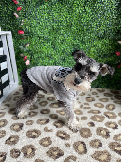 Pup 3