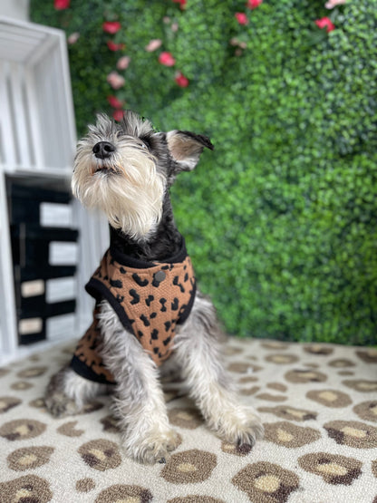 Pup 2