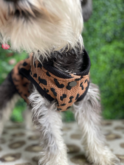 Pup 2
